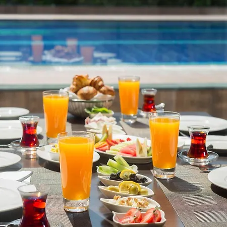 ومركز مؤتمرات ويندسور إسطنبول 5*