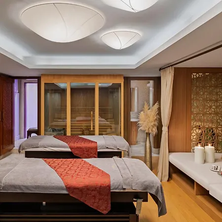ومركز مؤتمرات ويندسور إسطنبول 5*